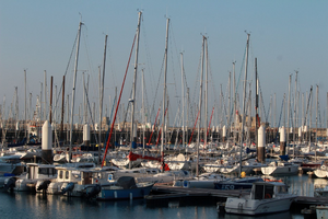 Commissionnaire en douane Le Havre